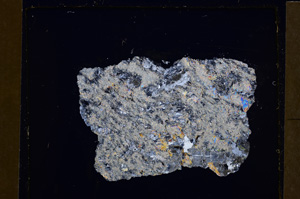 Cross Polarized, E27596