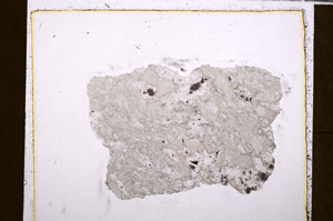 Plane Polarized, E27596