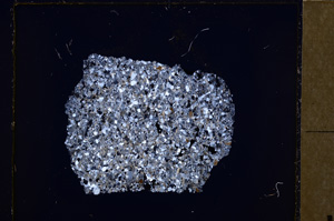 Cross Polarized, E27609