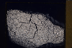 Cross Polarized, E27623