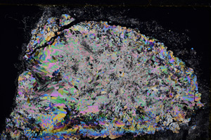 Cross Polarized, E27631