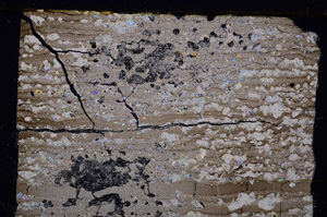 Cross Polarized, E27633