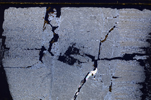 Cross Polarized, E27646