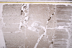 Plane Polarized, E27646