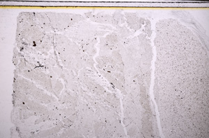 Plane Polarized, E27647