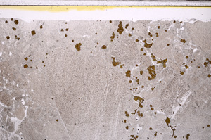 Plane Polarized, E27649