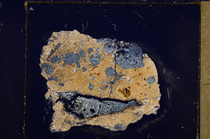 Cross Polarized, E27651