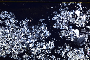 Cross Polarized, E27654