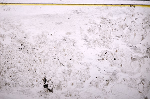 Plane Polarized, E27654