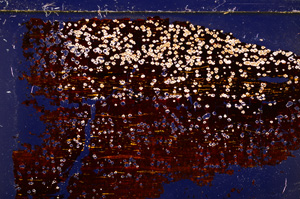 Cross Polarized, E27656