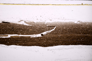 Plane Polarized, E27677