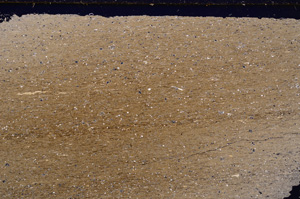 Cross Polarized, E27678