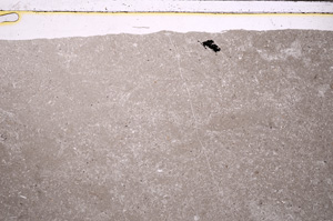 Plane Polarized, E27682