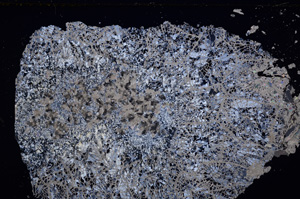 Cross Polarized, E27688