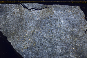 Cross Polarized, E27690