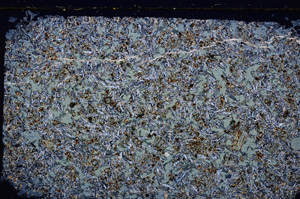 Cross Polarized, E27694