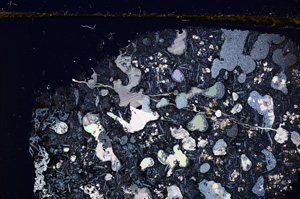 Cross Polarized, E27707