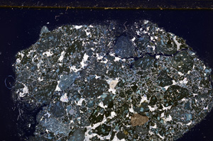 Cross Polarized, E27709