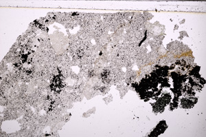 Plane Polarized, E27711