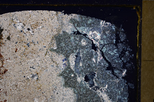Cross Polarized, E27712