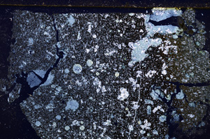 Cross Polarized, E27713