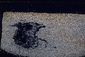 Cross Polarized, E27715