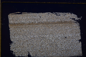 Cross Polarized, E27717