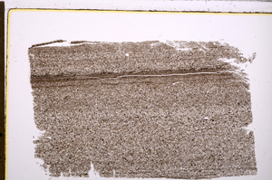 Plane Polarized, E27717