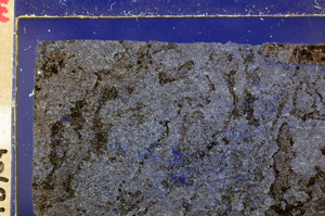 Cross Polarized, E27718