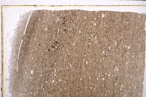 Plane Polarized, E27721