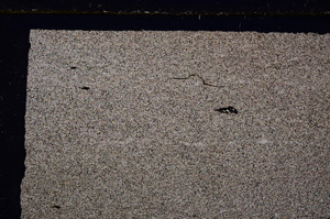 Cross Polarized, E27722