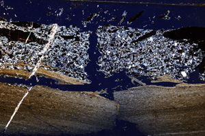 Cross Polarized, E27723
