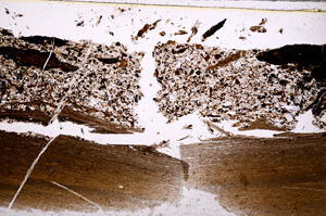 Plane Polarized, E27723