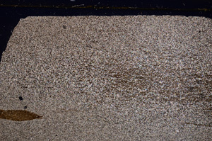 Cross Polarized, E27724