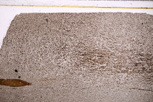 Plane Polarized, E27724