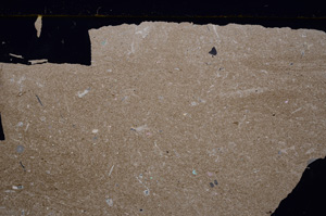 Cross Polarized, E27725