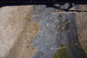 Cross Polarized, E27727