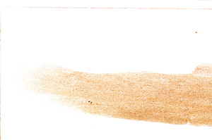 Plane Polarized, E27729