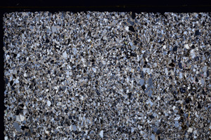 Cross Polarized, E27732