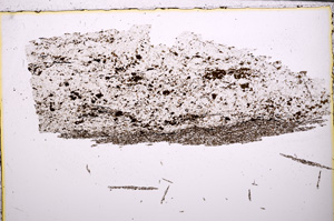 Plane Polarized, E27736
