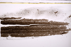Plane Polarized, E27739