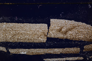 Cross Polarized, E27740
