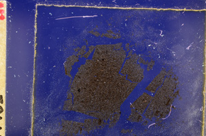 Cross Polarized, E27741