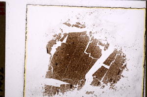 Plane Polarized, E27741