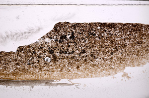 Plane Polarized, E27742