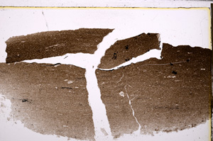 Plane Polarized, E27743