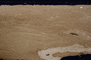 Cross Polarized, E27746