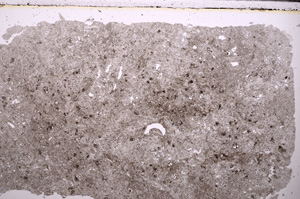 Plane Polarized, E27749