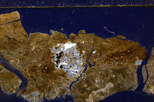 Cross Polarized, E27751