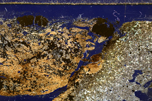 Cross Polarized, E27754